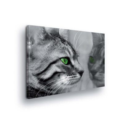 Animals and Living (181CV)