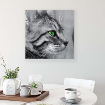 Animals and Living (181CV) - Image 3