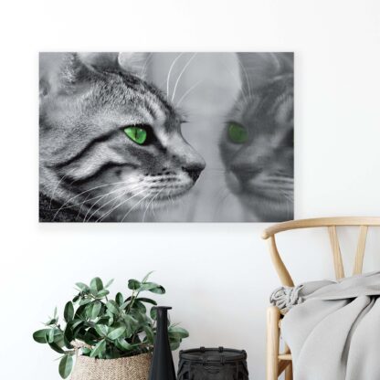 Animals and Living (181CV) - Image 4