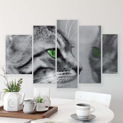 Animals and Living (181CV) - Image 5