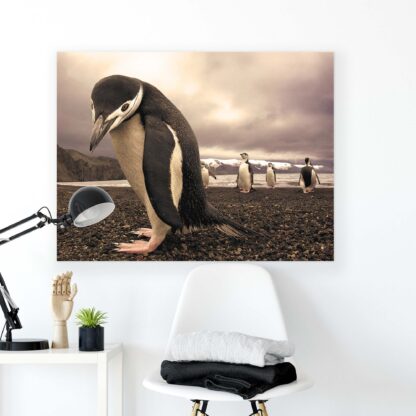 Animals and Living (1820CV) - Image 2