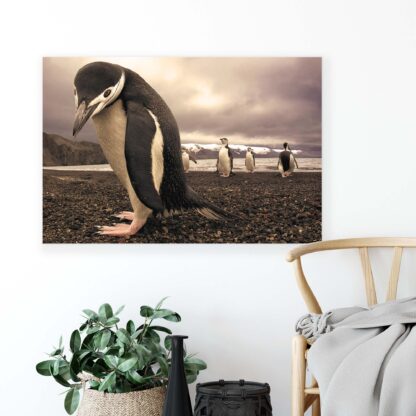 Animals and Living (1820CV) - Image 3