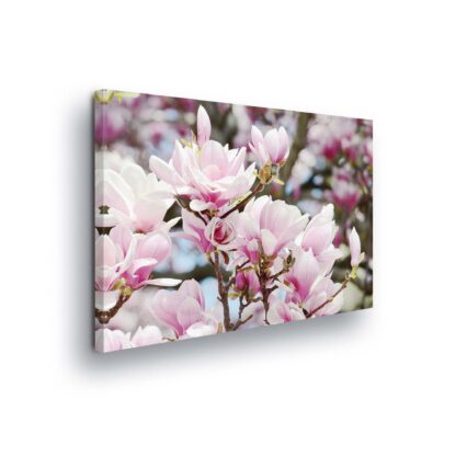 Flowers (20001CV)