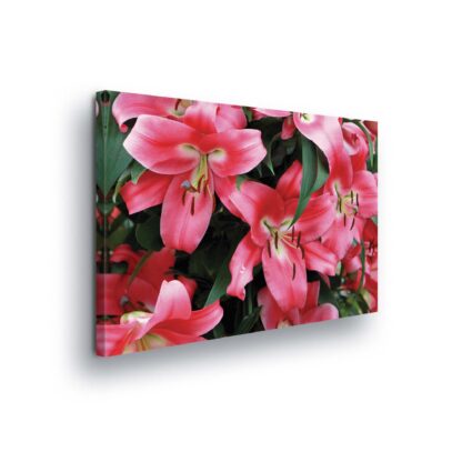 Flowers (20027CV)