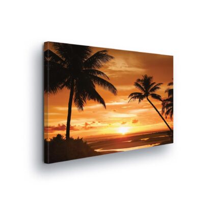 Tropical (20039CV)