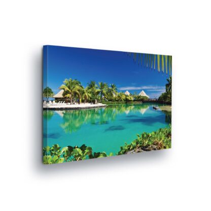 Tropical (20061CV)