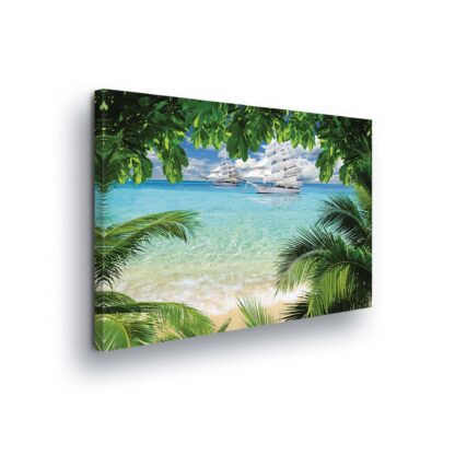 Tropical (20064CV)