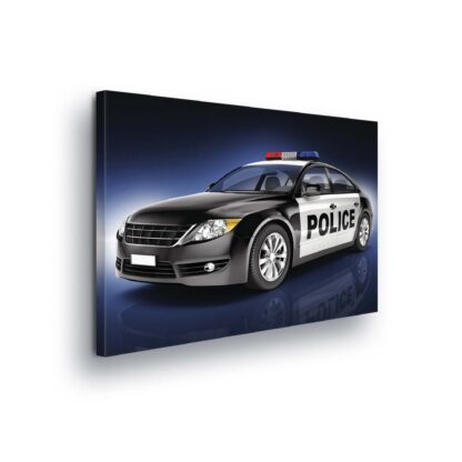 Cars and Transport (20245CV)