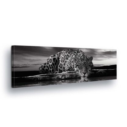 Animals and Living (20285CV)