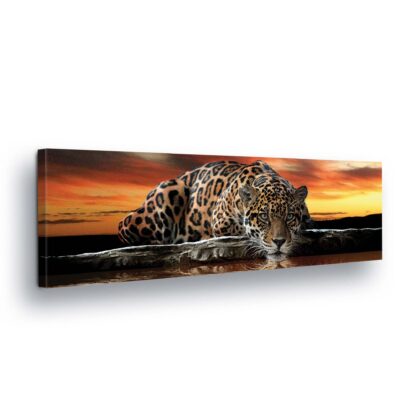 Animals and Living (20291CV)