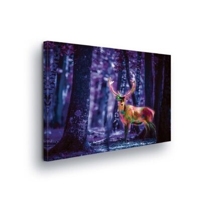 Animals and Living (20296CV)