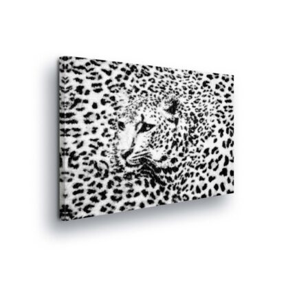 Animals and Living (20306CV)