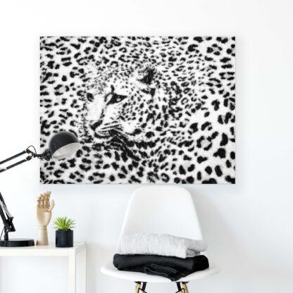 Animals and Living (20306CV) - Image 2