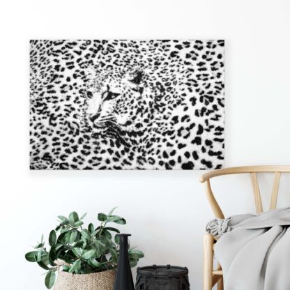 Animals and Living (20306CV) - Image 5