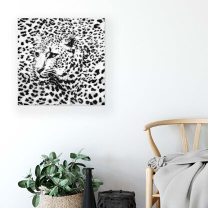 Animals and Living (20306CV) - Image 6