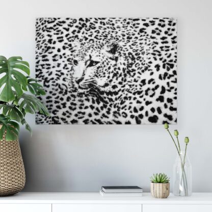 Animals and Living (20306CV) - Image 7