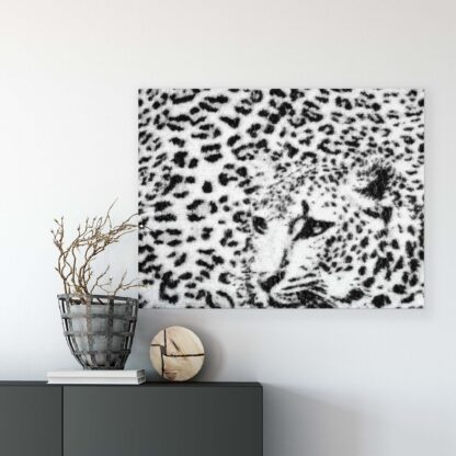 Animals and Living (20306CV) - Image 8
