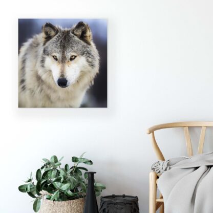 Animals and Living (20308CV) - Image 4