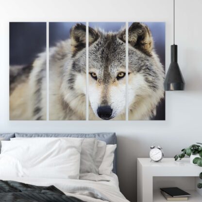 Animals and Living (20308CV) - Image 6