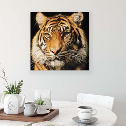 Animals and Living (20310CV) - Image 2