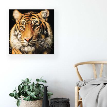 Animals and Living (20310CV) - Image 3
