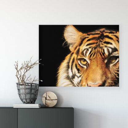 Animals and Living (20310CV) - Image 4