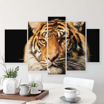 Animals and Living (20310CV) - Image 5
