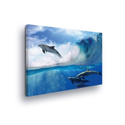 Underwater (20311CV)