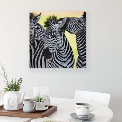Animals and Living (20313CV) - Image 2