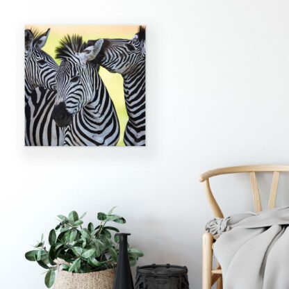 Animals and Living (20313CV) - Image 3