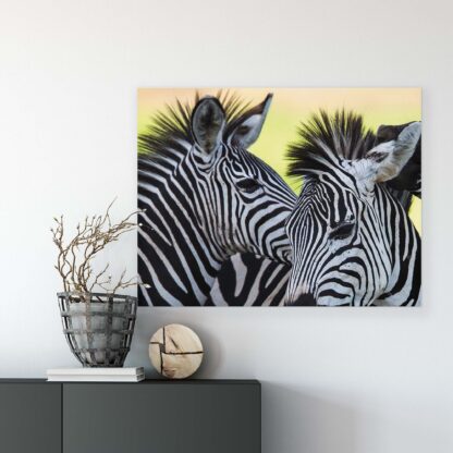 Animals and Living (20313CV) - Image 4