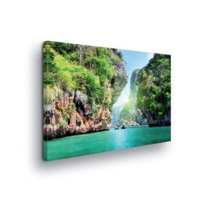 Tropical (20372CV)
