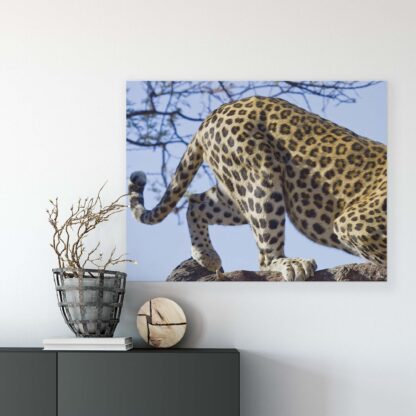 Animals and Living (20387CV) - Image 2