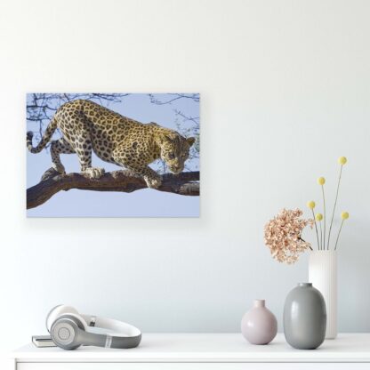Animals and Living (20387CV) - Image 3