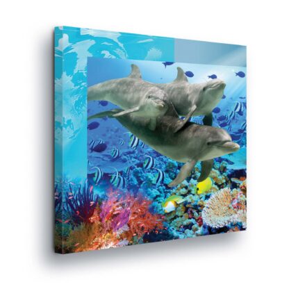 Underwater (20405CV)