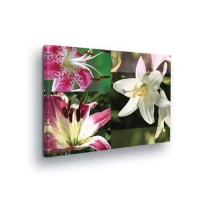 Flowers (20406CV)