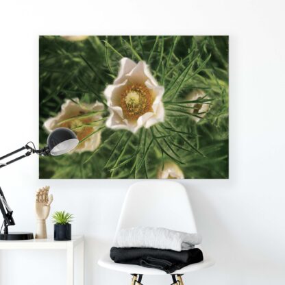 Flowers (2070CV) - Image 2