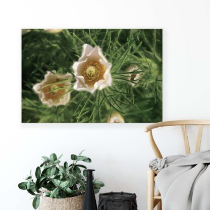 Flowers (2070CV) - Image 3