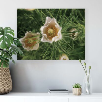 Flowers (2070CV) - Image 4