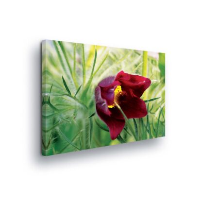 Flowers (2071CV)