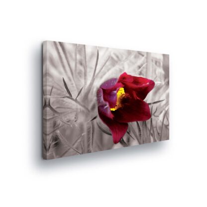 Flowers (2072CV)