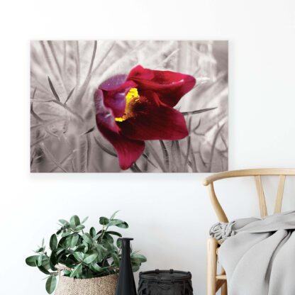 Flowers (2072CV) - Image 3
