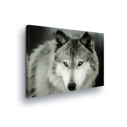 Animals and Living (2073CV)