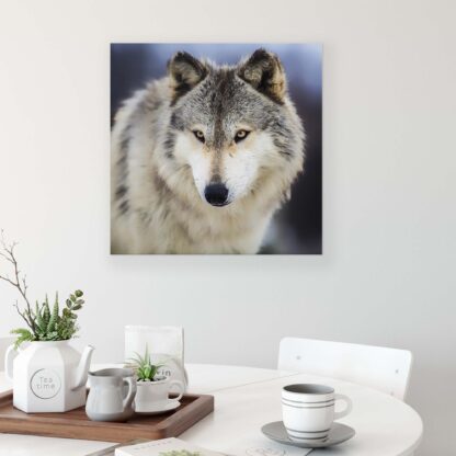 Animals and Living (2074CV) - Image 2