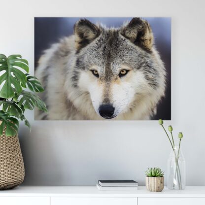 Animals and Living (2074CV) - Image 3