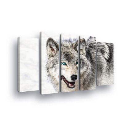 Animals and Living (20813CV)