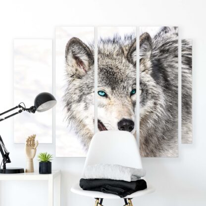 Animals and Living (20813CV) - Image 2