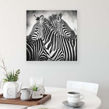 Animals and Living (21012CV) - Image 2