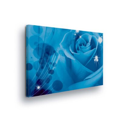Modern Flowers, Nature, and Swirls (211CV)