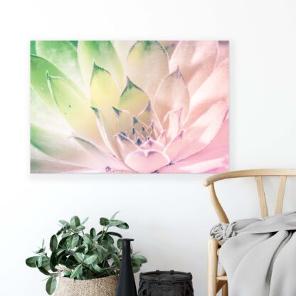 Plants (2135CV) - Image 3